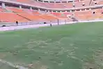JIS Disorot, Rumput Belang Ganggu Latihan Persija Jelang Duel Lawan Brisbane Roar