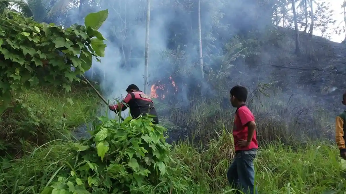 Lhokseumawe Rawan Kebakaran Lahan, BMKG Keluarkan Peringatan Dini