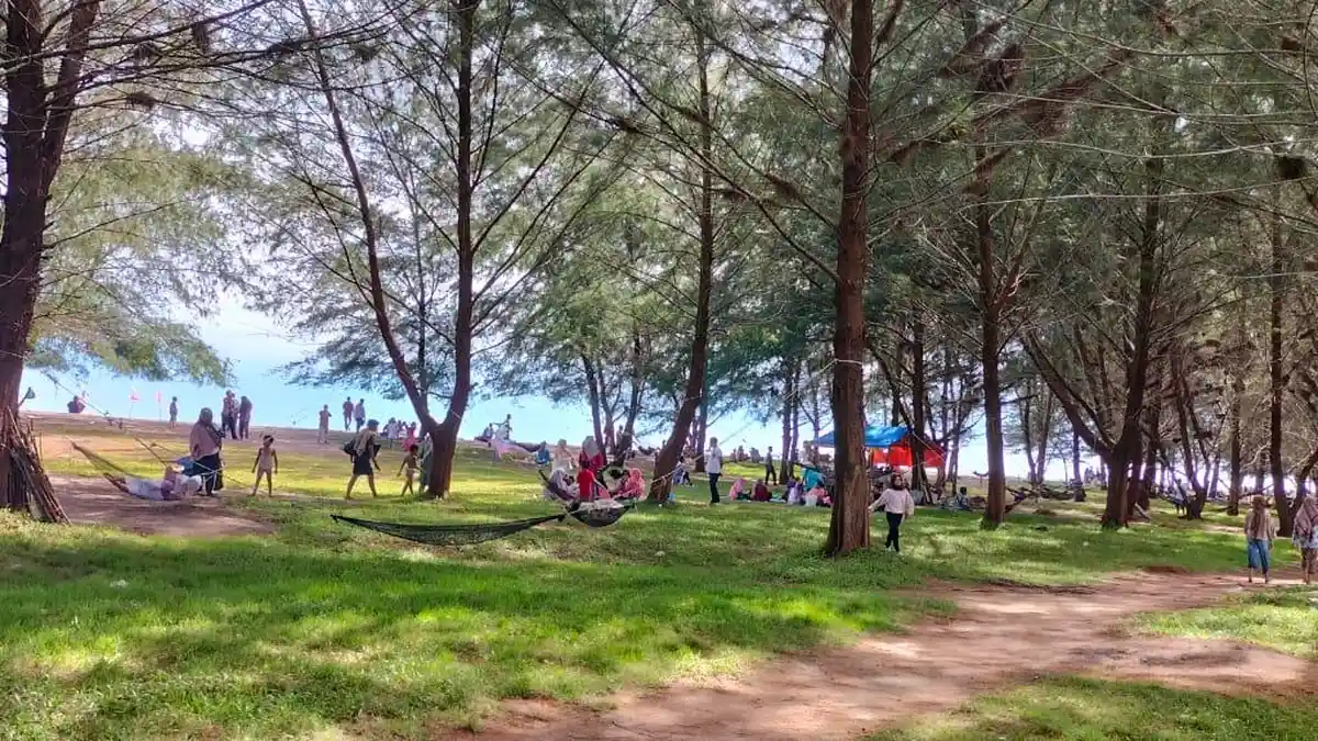 5 Lokasi Ngabuburit Asik di Padang Pariaman: Objek Wisata Pantai Tiram, hingga Bermain dengan Rusa