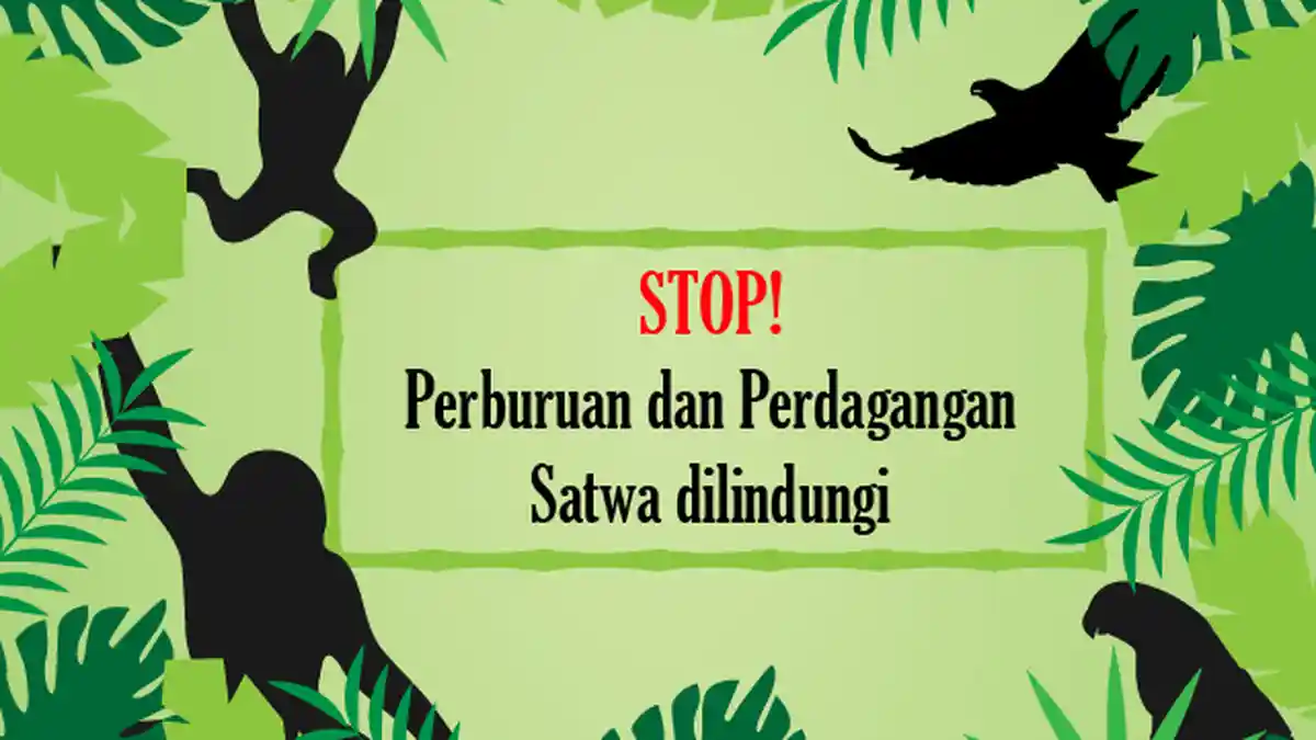 BKSDA Mendukung Kasus Pemburuan Satwa, Tersangka Seret ke Pengadilan