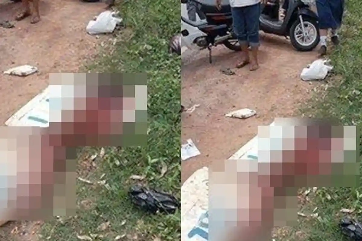 Kecelakaan Maut, Seorang Wanita Penjual Ikan Tewas, Korban Tertabrak Truk Seusai Pulang dari Pasar