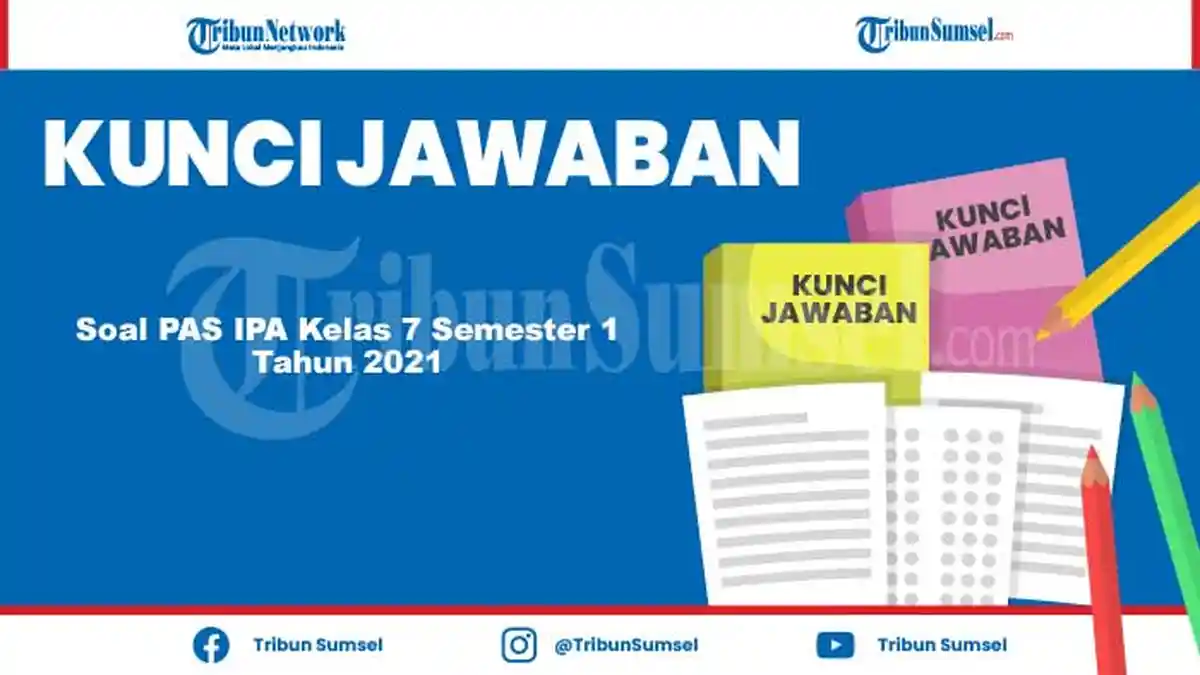 Fungsi dari Jaringan Gabus Tersebut adalah, Contoh Soal PAS IPA Kelas 7 Semester 1 Tahun 2021