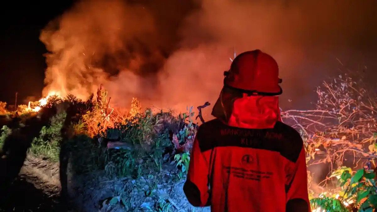 Kebakaran Lahan di Sarolangun, Empat Hektare Lahan Warga Pelawan Hangus Terbakar