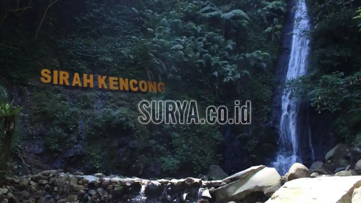 Perkebunan Teh Sirah Kencong Blitar, Air Terjun dan Puncaknya Instagramable Banget!