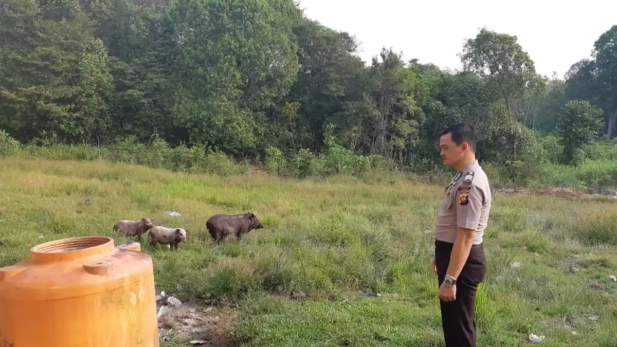 Hanya Ada 5 Desa, Ini Nama-nama Desa di Kecamatan Sebangki