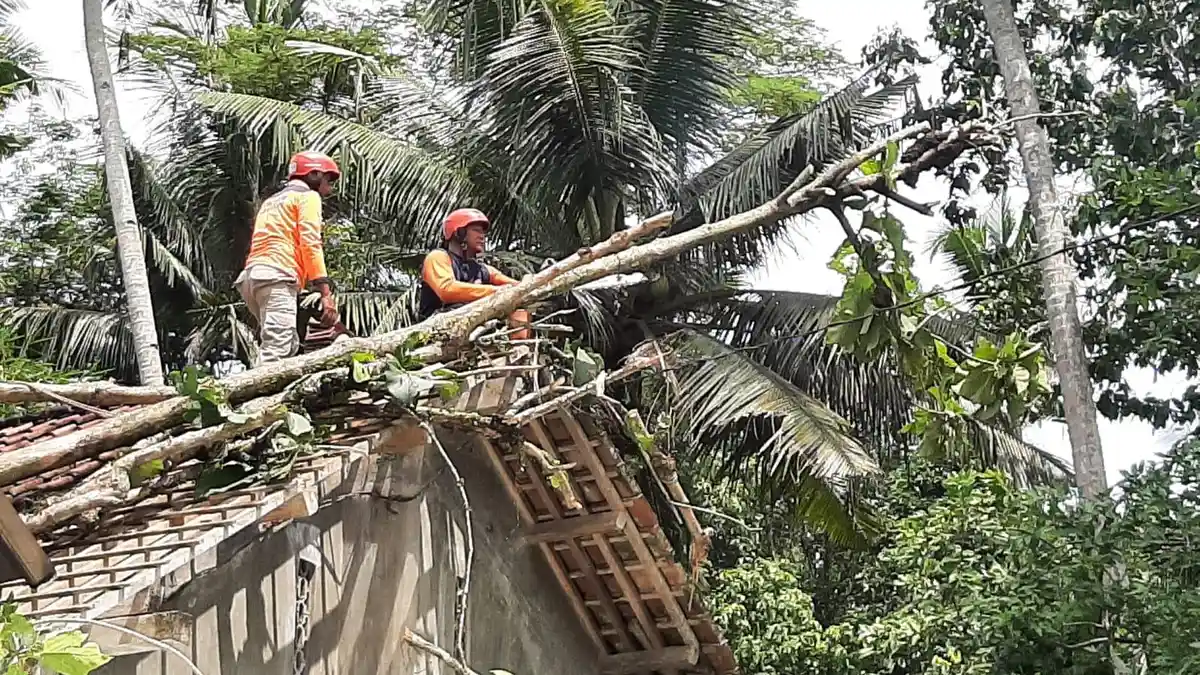 Tanah Longsor dan Angin Kencang Terjang Kebumen dalam Dua Hari