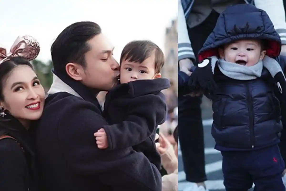 Intip Penampakkan Private Jet Raphael Moeis, Putra Sandra Dewi yang Masih Berusia 1 Tahun