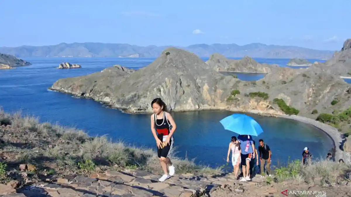 Kunjungan Wisatawan ke Pulau Komodo Labuan Bajo Turun Drastis