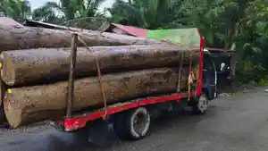 truk-kayu-11122025.jpg