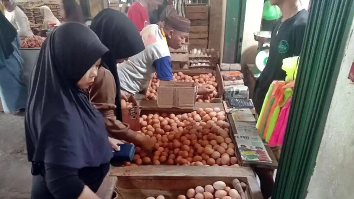 Update Harga Telur Ayam Kamis 7 Desember di OKU Sumsel, Masih Rp 27.000 per Kilogram