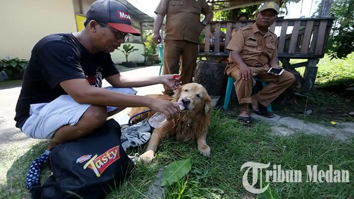 Digigit Anjing Suspect Rabies, Anak Anggota DPRD Sumut dan ASN Pemko Medan Kini Jalani Perawatan