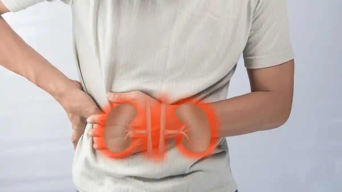 CARA Cegah Penyakit Ginjal, Minum Jangan Berlebih, Waspada Jenis Obat Bisa Merusak Ginjal