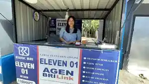 BRILink-Elevan.jpg