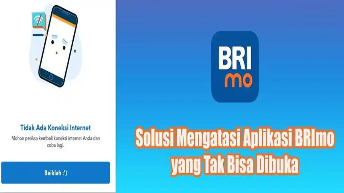 Penyebab BRImo Eror, Berikut Cara Mengatasi BRImo yang Tak Bisa Dibuka