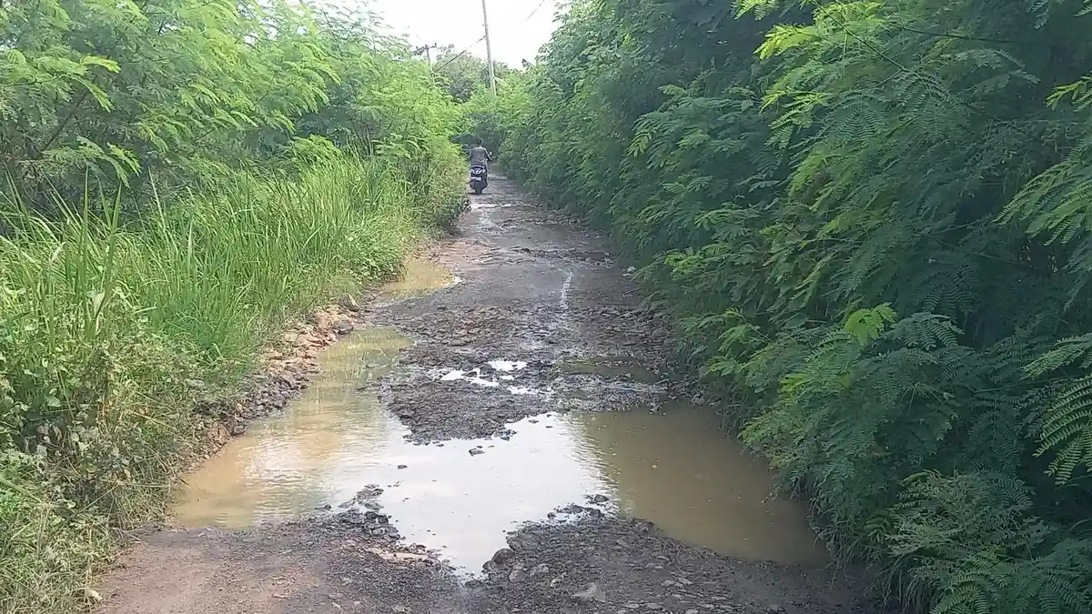 Jalan Rusak Parah di Carenang Serang Ganggu Petani dan Pelajar, Warga Minta Perbaikan