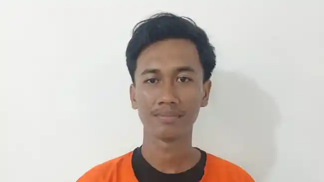 Tribun