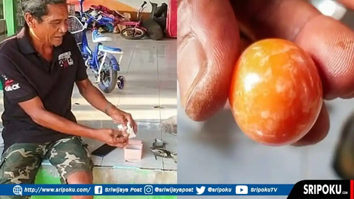 Nelayan Ini Kaya Mendadak, Temukan Kerang Berisi Mutiara Termahal di Dunia, Pembelinya dari Cina