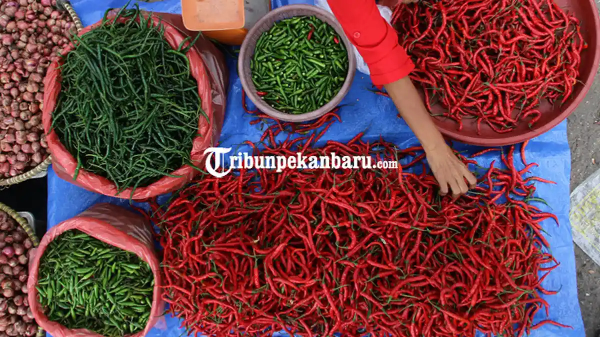 Ingin Wajah Terlihat Awet Muda, Coba Hindari 10 Jenis Makanan Ini