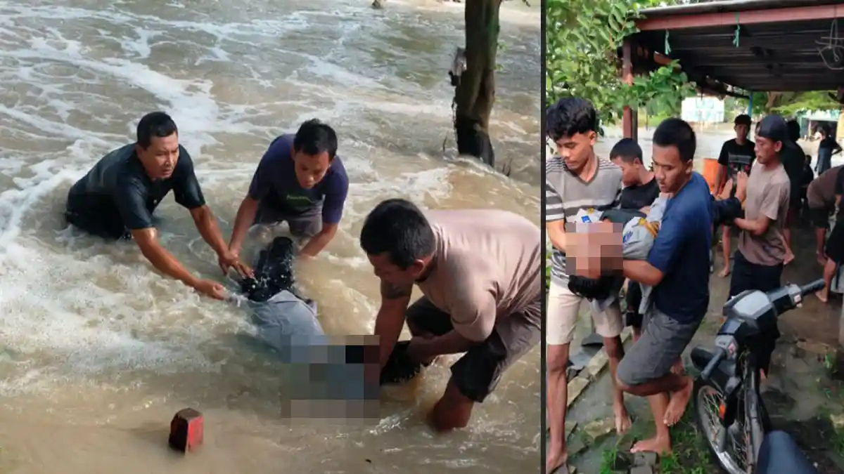 Taruhkan Nyawa, Petugas Dishub Gresik Terseret Arus Banjir Kali Lamong di Jalan Raya Benjeng