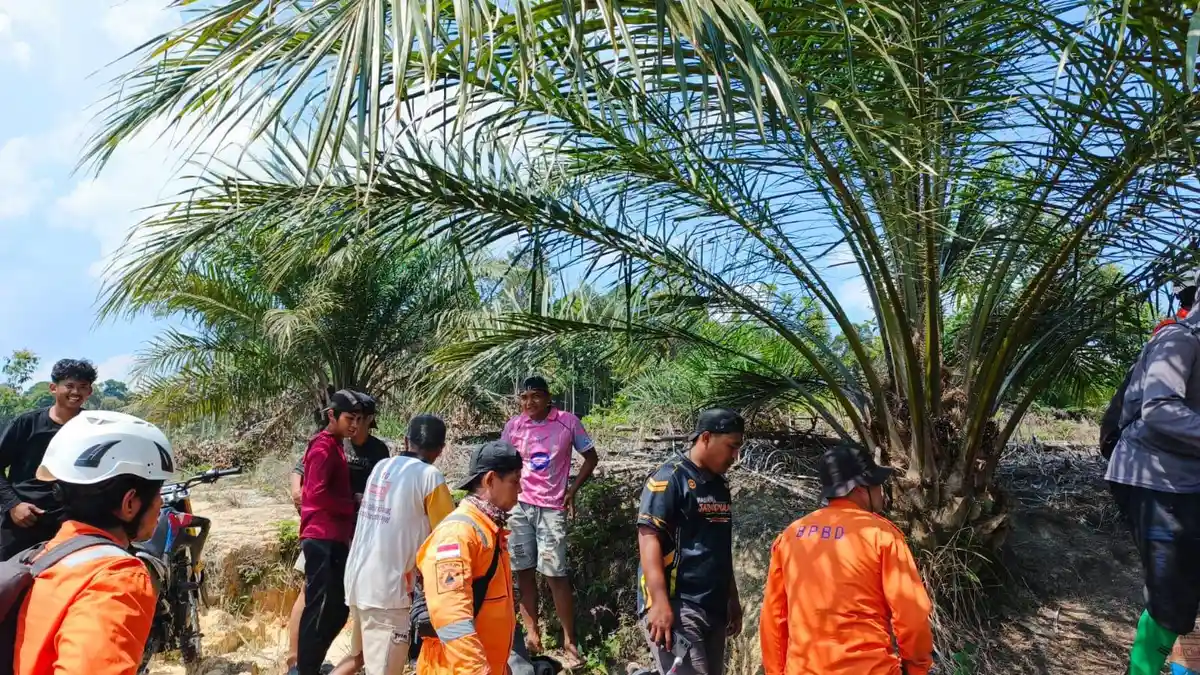 Warga Nunukan Hilang Misterius di Kebun, Motor dan Pakaian Ditinggalkan ...