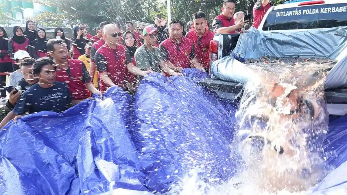 Lagi, Polda Babel Lepas 500 Ikan Patin ke Kolong Bhaypark