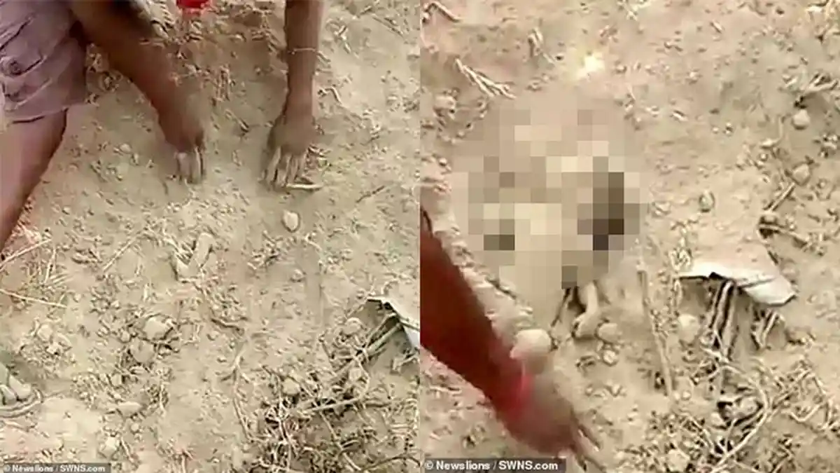 VIRAL Video Detik-detik Bayi Dikubur Hidup-hidup Digali dari Tanah, Terdengar Suara Rintihan