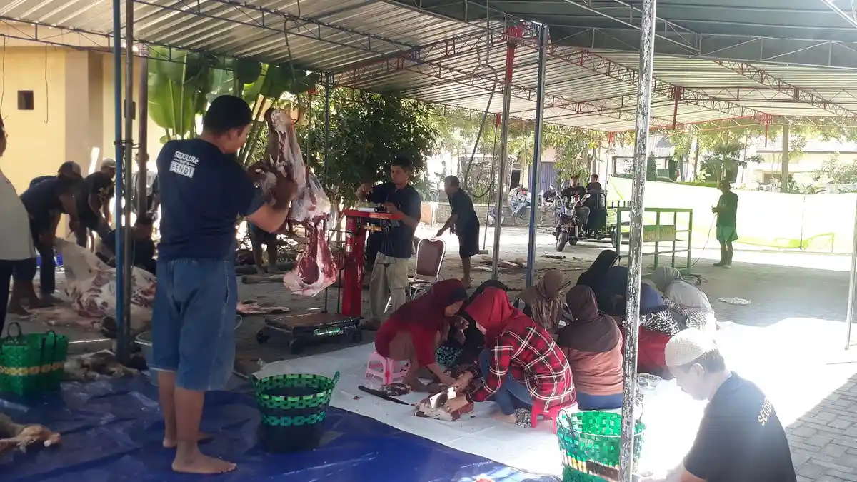 Enam Sapi dan Empat Kambing Disembelih di Masjid Agung Al Aqsha, Satu Sapi Hibah Bupati Klaten