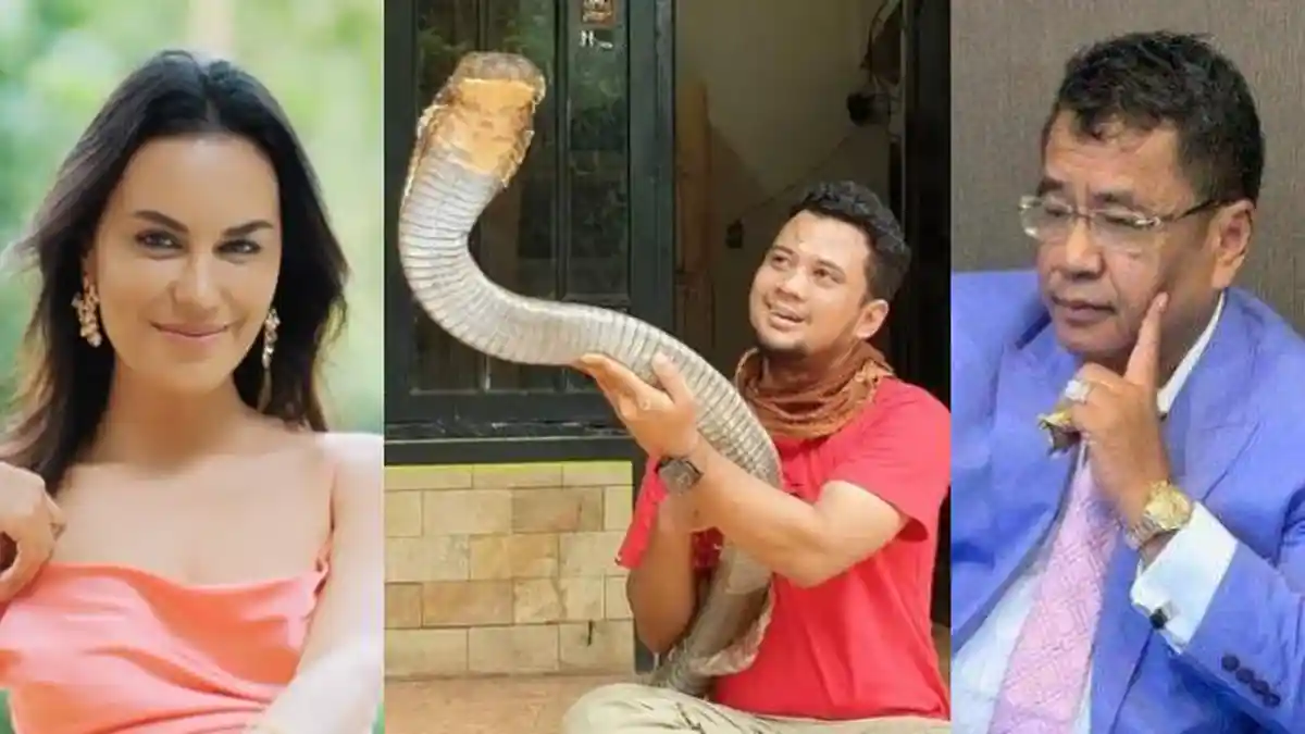 Deretan Artis yang Pernah Digigit Hewan Peliharaannya, Ada yang Nyaris Tewas Digigit Ular King Cobra