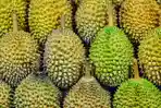 durian-unsplash.jpg