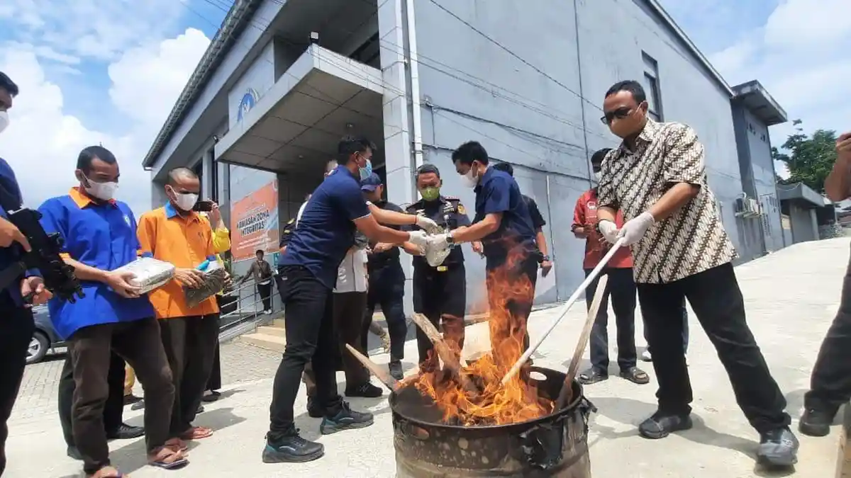 BNNP Kaltim Musnahkan 4 Kg Ganja asal Sumatera Utara