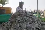 Ikan-Asin-Tambaklorok.jpg