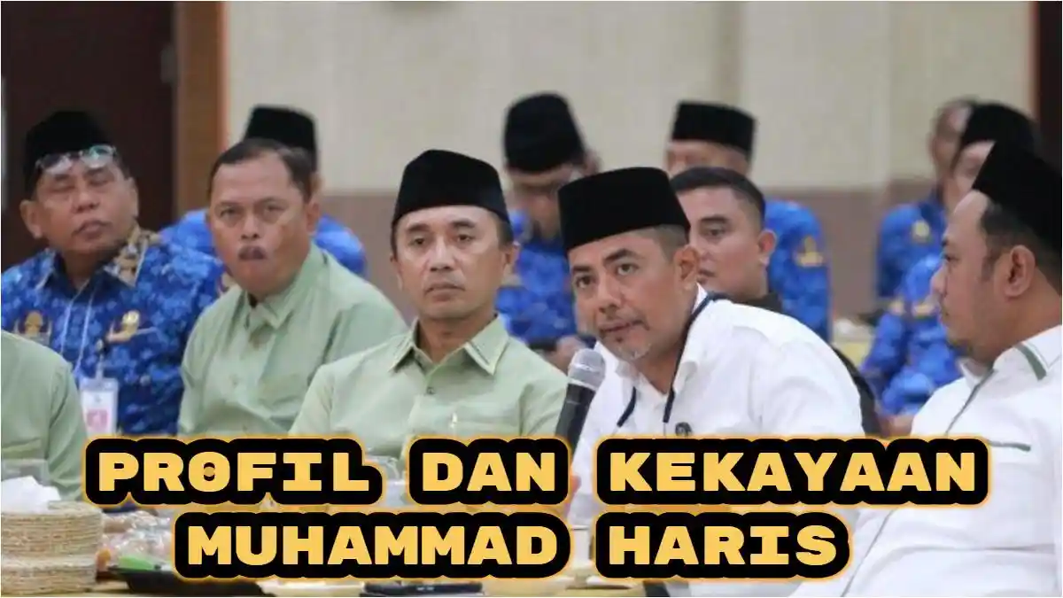Profil dan Kekayaan Mohammad Haris Bupati Terpilih Probolinggo 2024, Ini Program 100 Hari Kerjanya