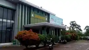 Dinkes-RLll.jpg