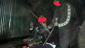 18-Mei-2025-gas-tembak.jpg