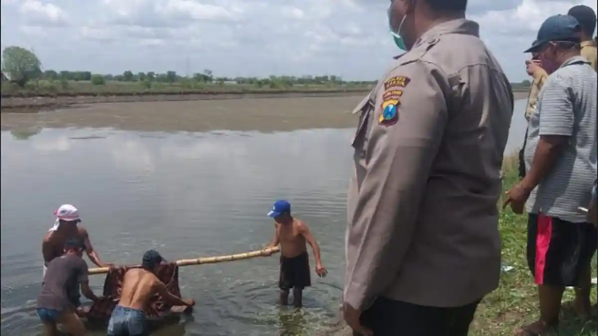 Mayat Kakek 58 Tahun di Gresik Ditemukan Mengapung di Tambak