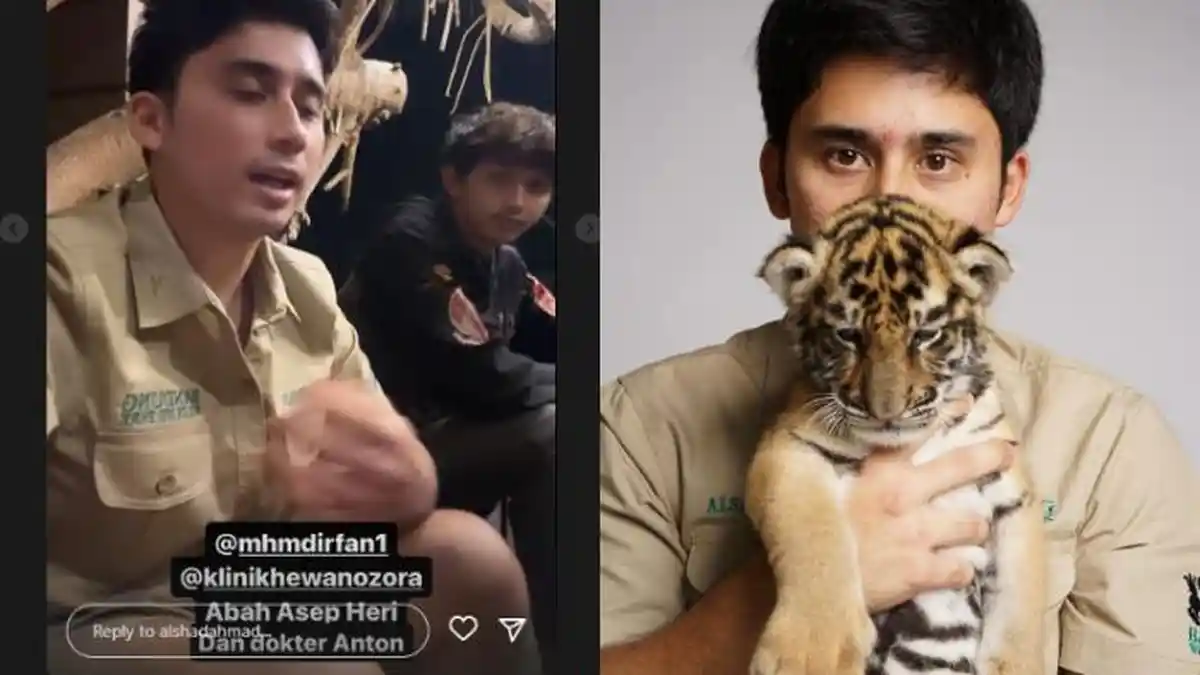 Harimau Milik Alshad Ahmad Mati, Dokter Hewan: Bisa karena Stres Sering Berinterkasi dengan Manusia