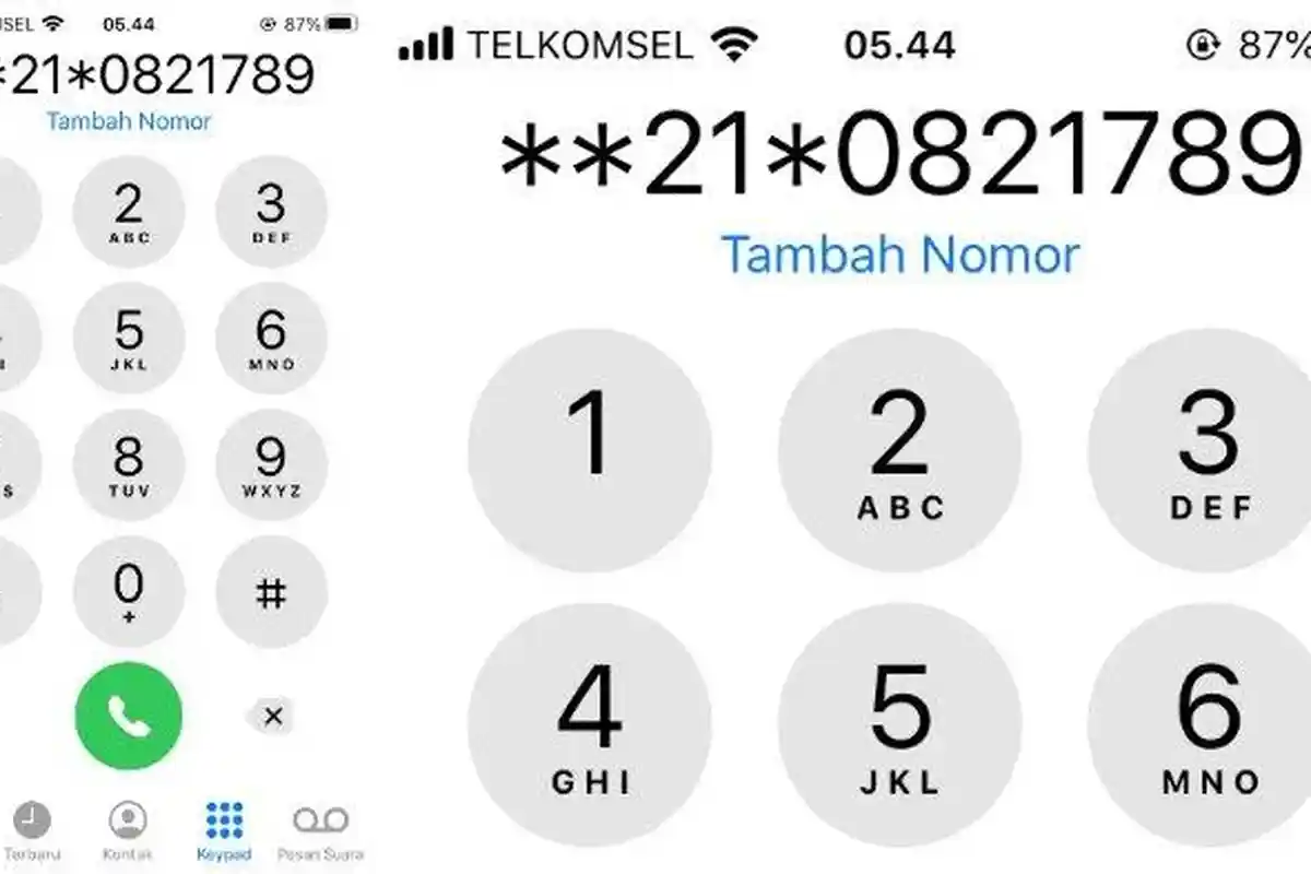 Tak Ingin Senasib Dengan Maia Estianty, Hindari Hubungi **21* di WhatsApp Gopay