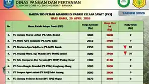 20260429-PABRIK-KELAPA-SAWIT.jpg