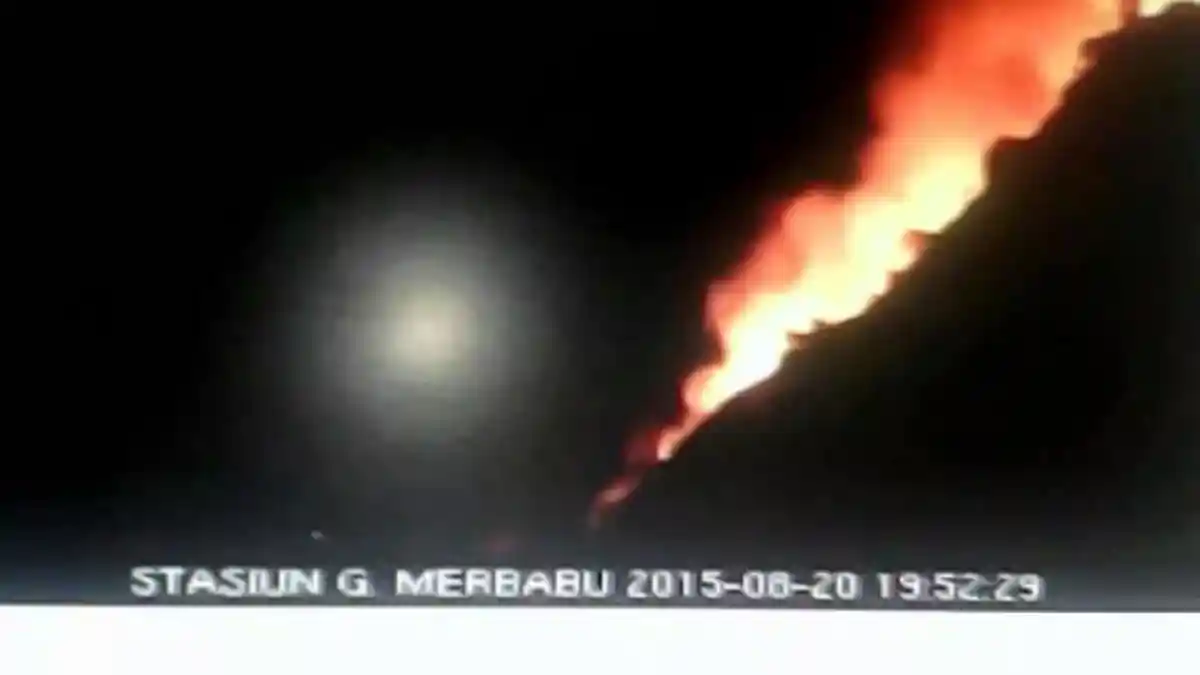 Kebakaran Hutan Gunung Merbabu Mulai Merambat ke Boyolali