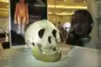 Pameran Museum Sangiran