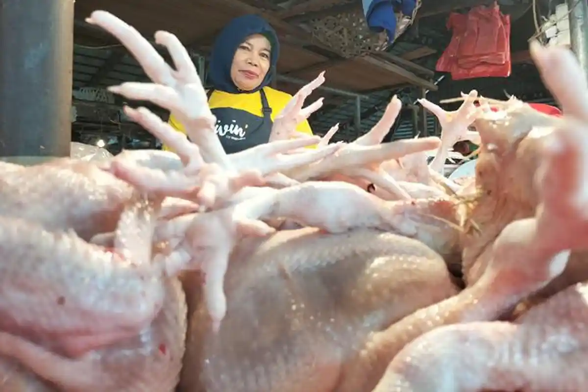 Harga Naik, Daging Ayam Broiler di Pasar Angso Duo Baru Saat Ini Rp 28 Ribu per Kilogram