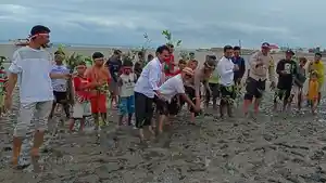 200-Bibit-Pohon-Mangrove-Ditanam-di-Kabangka-Muna-Sulawesi-Tenggara-Guna-Cegah-Terjadinya-Abrasi.jpg