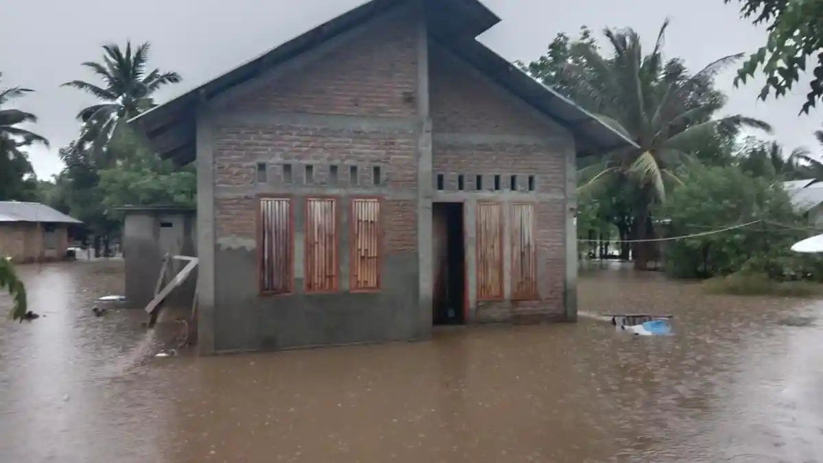 Banjir Kepung Magepanda, Belasan Rumah Tergenang Ternak Warga dan Tanaman Pertanian Disapu Banjir