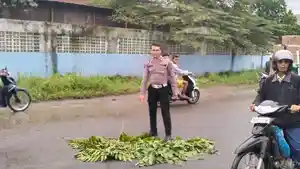 Lakalantas-Maut-di-Deli-Serdang_Bayi-Tewas-Dilindas-Truk_.jpg