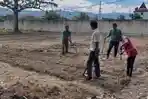 Pemkot Palu Perkuat Ketahanan Pangan Lewat Demplot Urban Farming di Lahan Tidur
