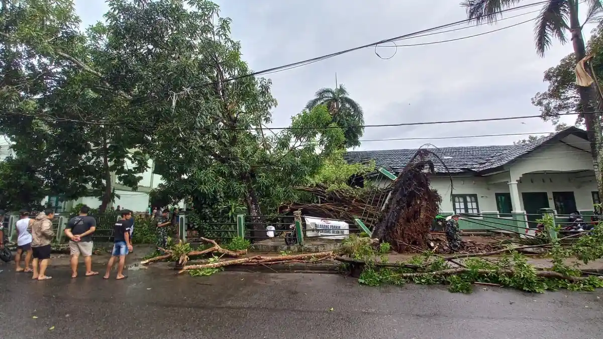 Hujan dan Angin, Satu Pohon Beringin Tumbang Timpa Gedung RST Ambon