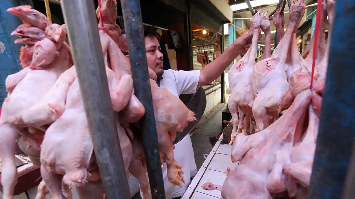 Selain Beras, Harga Ayam dan Cabai Juga Merangkak Naik Awal 2018 Ini