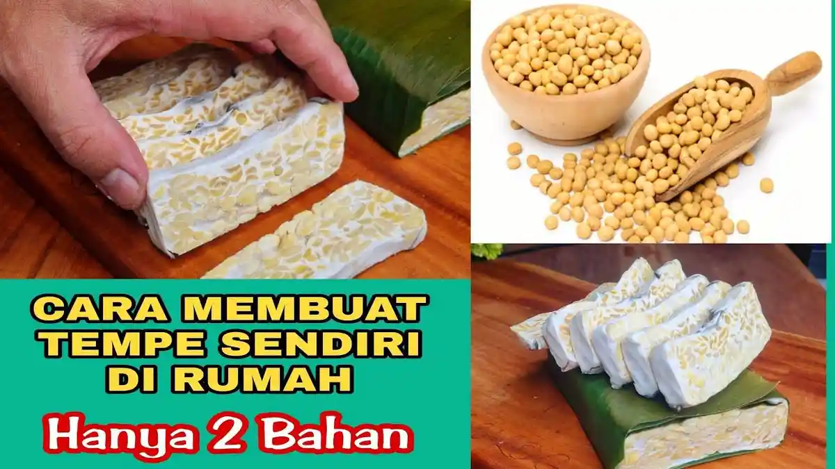Cara Membuat Tempe Rumahan dari 250 Gram Kedelai, Lengkap dengan Tips ...