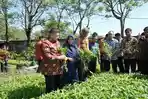 Appi Gaspol Urban Farming, Lahan Sempit di Makassar Disulap Jadi Sumber Ekonomi