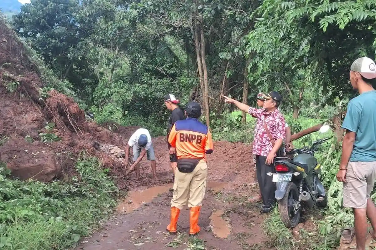Tebing Setinggi 20 Meter di Jatibanteng Situbondo Longsor, Menutupi Akses Jalan Desa